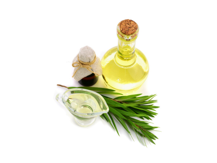 dầu tràm trị gàu